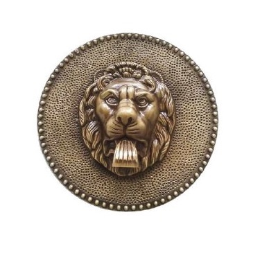 Large Brass Lion Face Water Fountain Spout with Round Escutcheon
