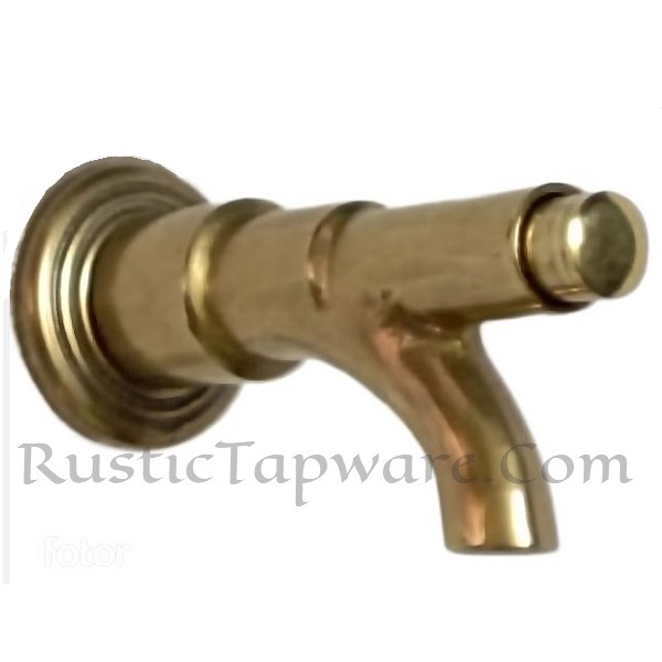 Wall-mounted Push-button Water Tap for Garden