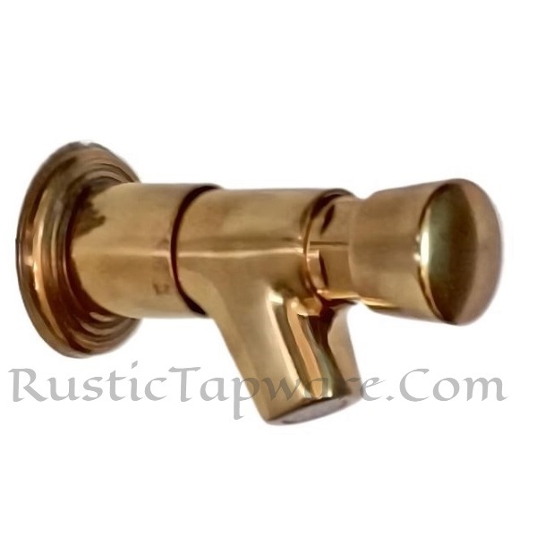 Wall Mount Self Closing Tap for Water Fountain in Brass